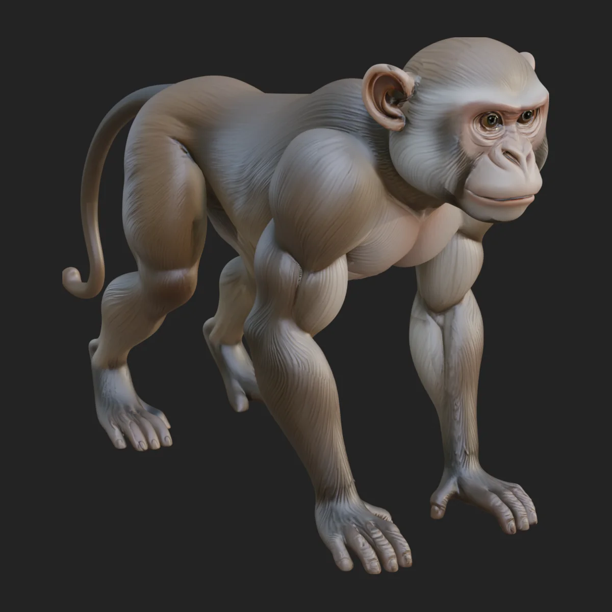 Baboon Statue Design 4