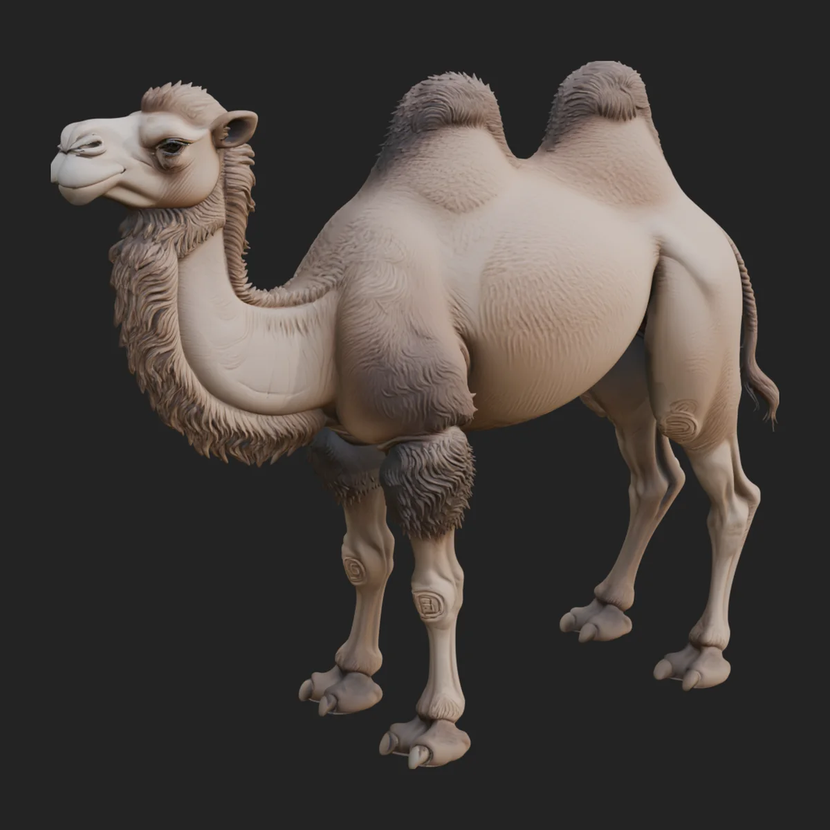Bactrian Camel Statue Design 1