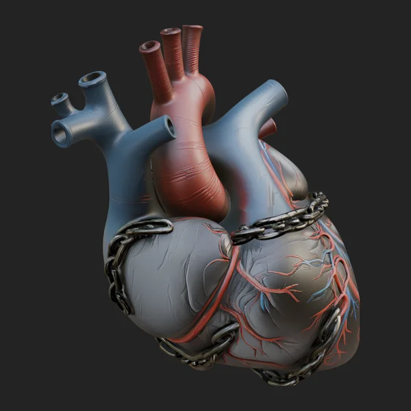 Chained Anatomical Heart Model Design 2