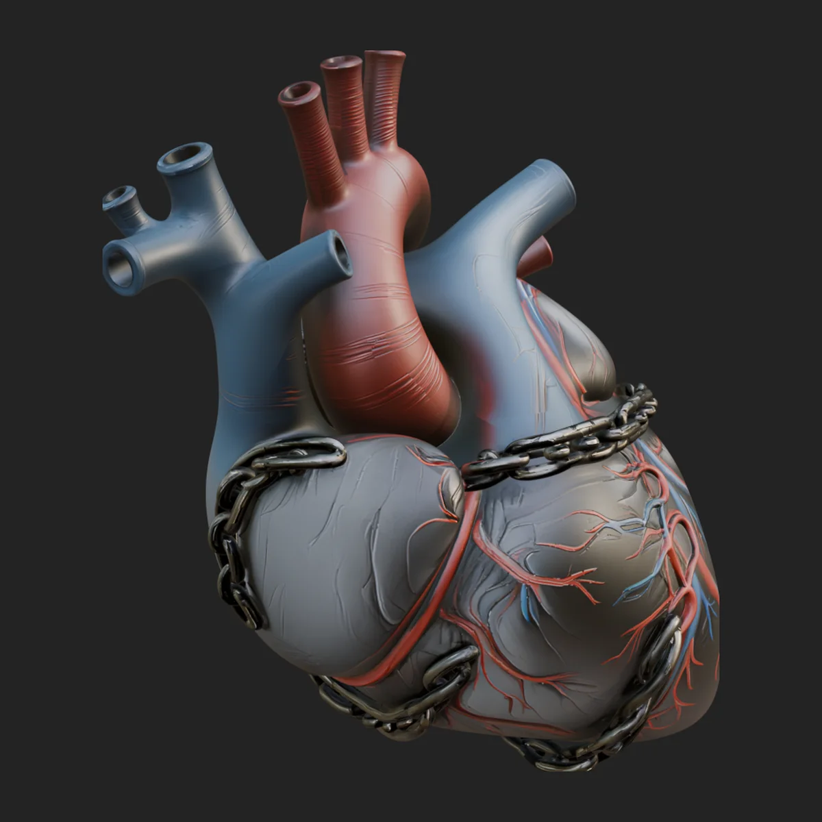 Chained Anatomical Heart Model Design 2