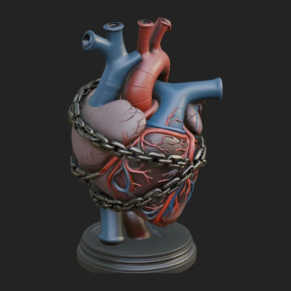 Chained Anatomical Heart Model Design 3