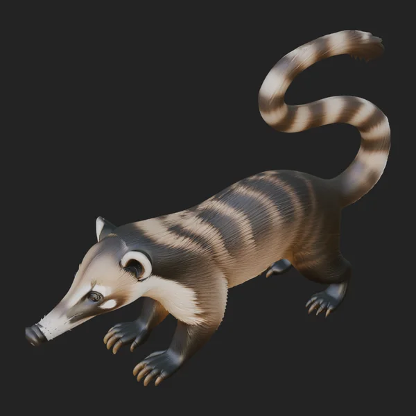 Coati Mundi Statue Design 1