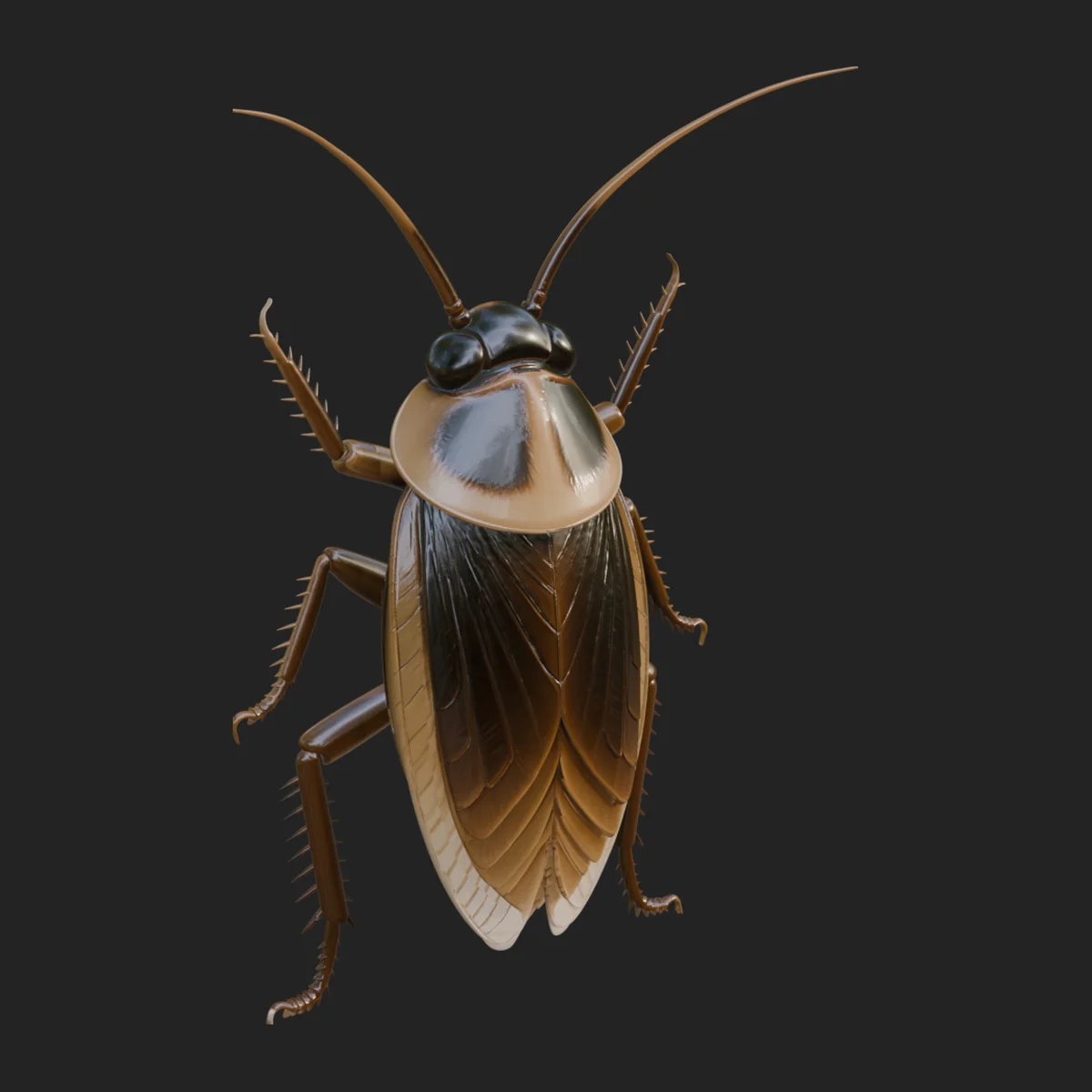 Cockroach Statue Design 1