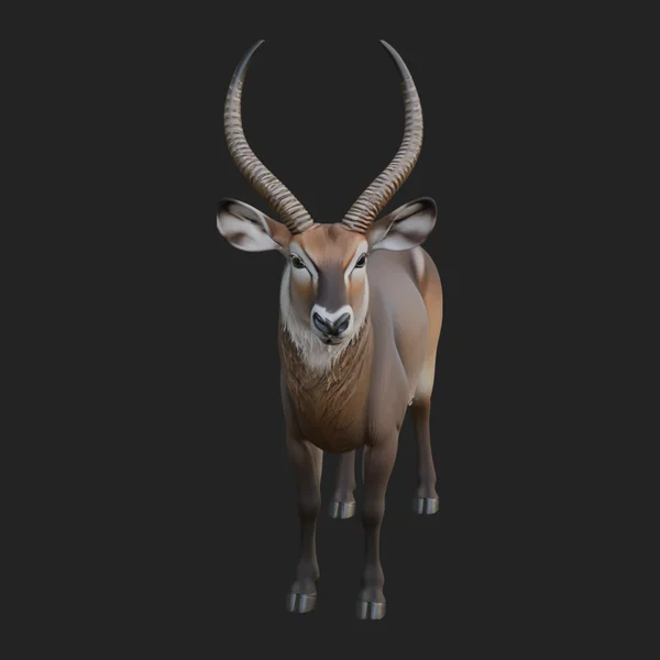 Gazelle Statue Design 4
