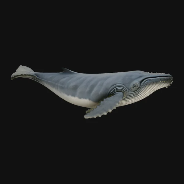 Humpback Whale Statue Design 2