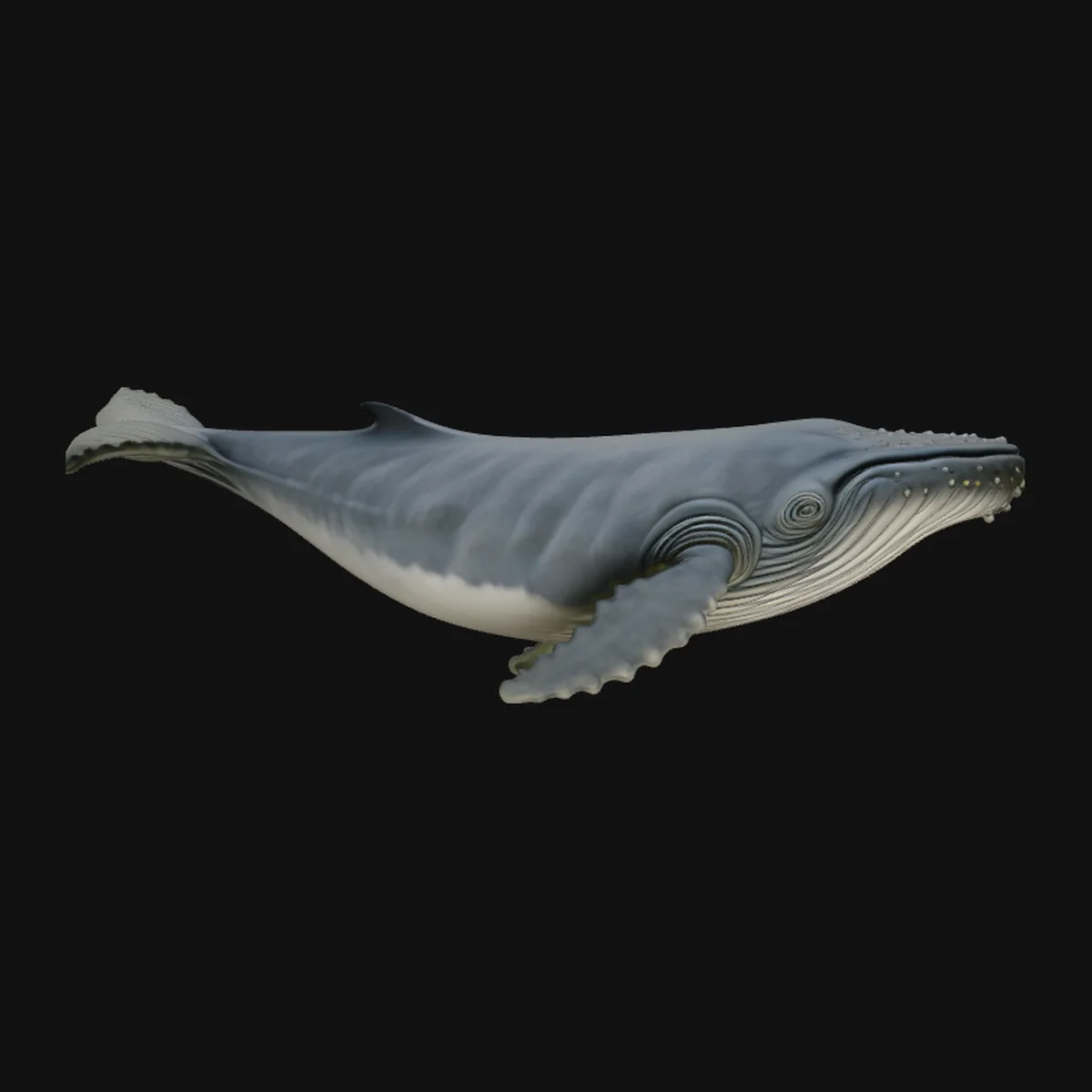 Humpback Whale Statue Design 2