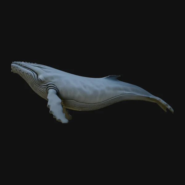 Humpback Whale Statue Design 3