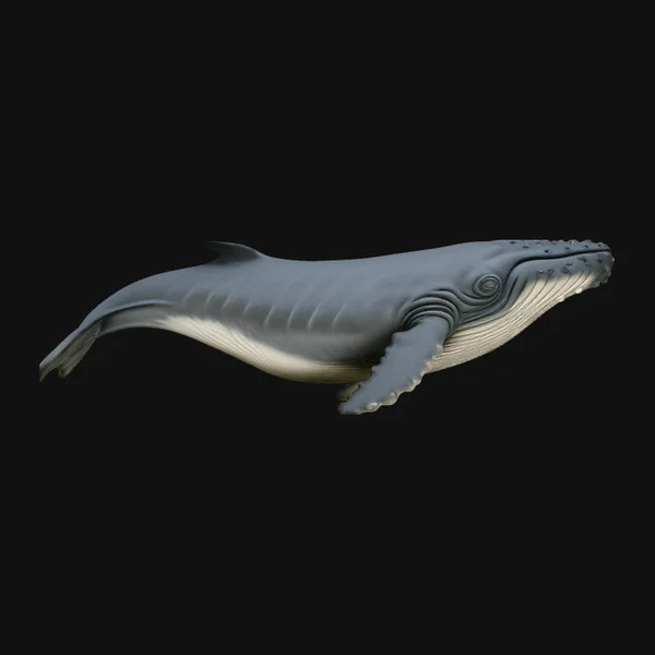 Humpback Whale Statue Design 4