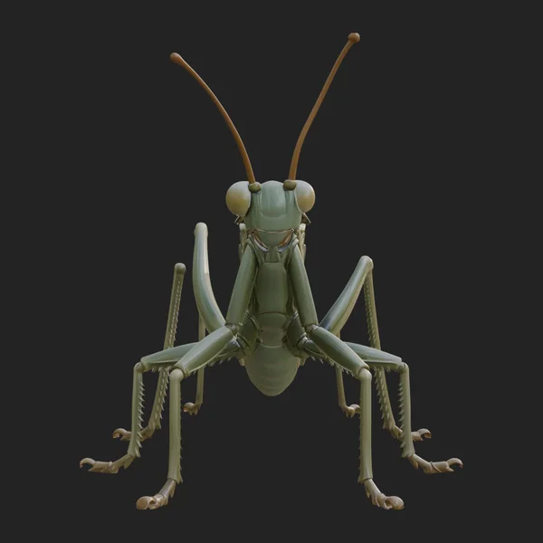 Katydid Statue Design 1