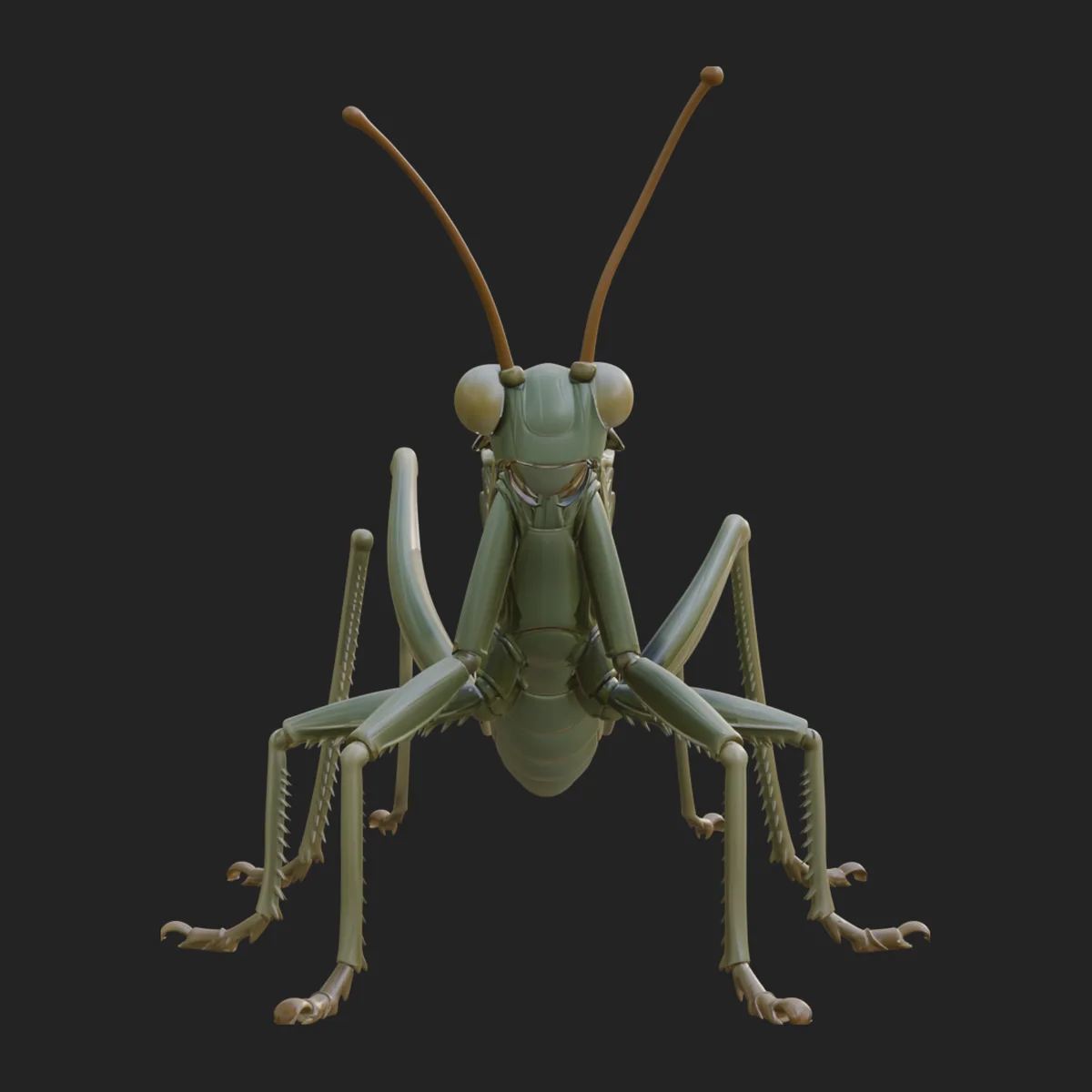 Katydid Statue Design 1