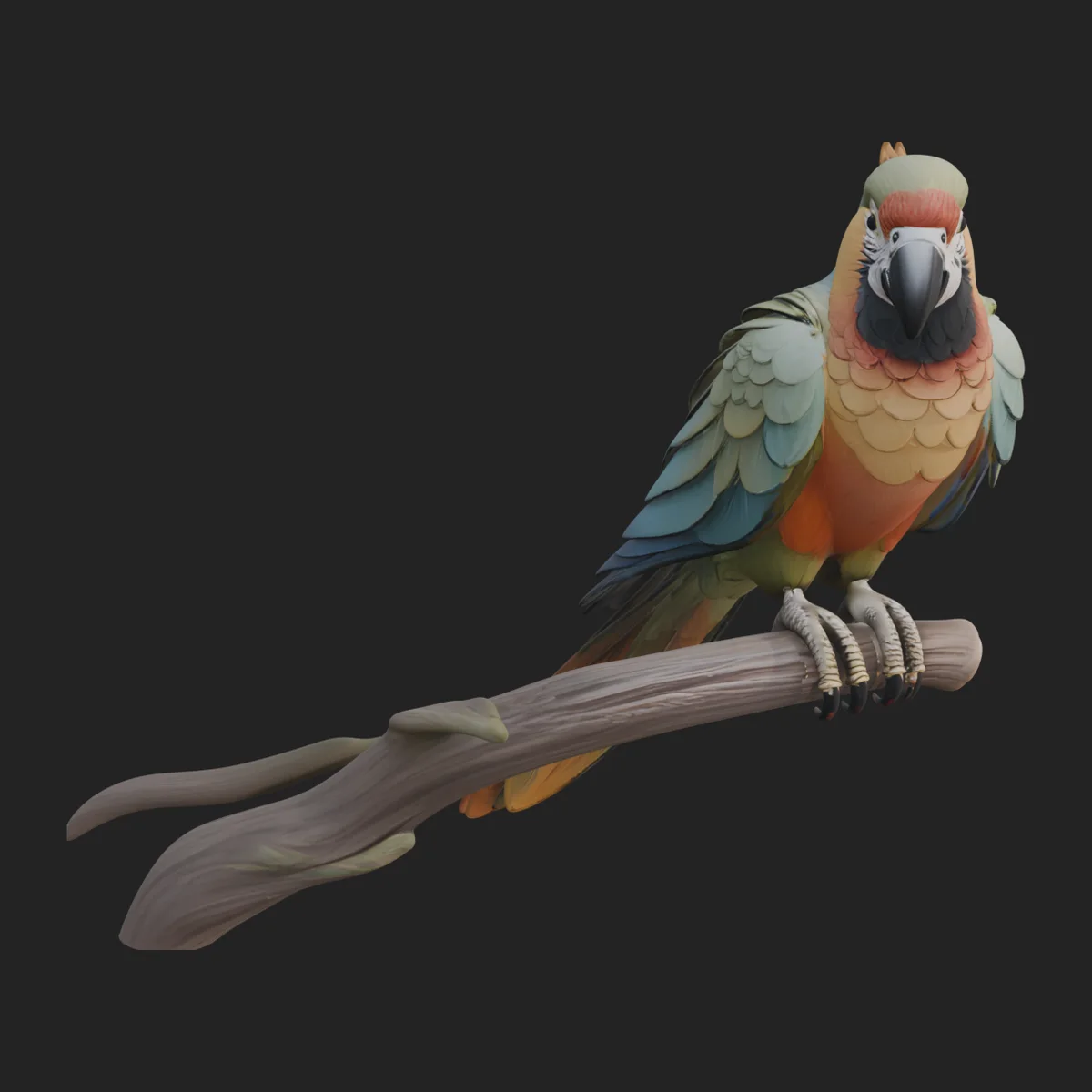 Macaw Parrot Statue Design 1