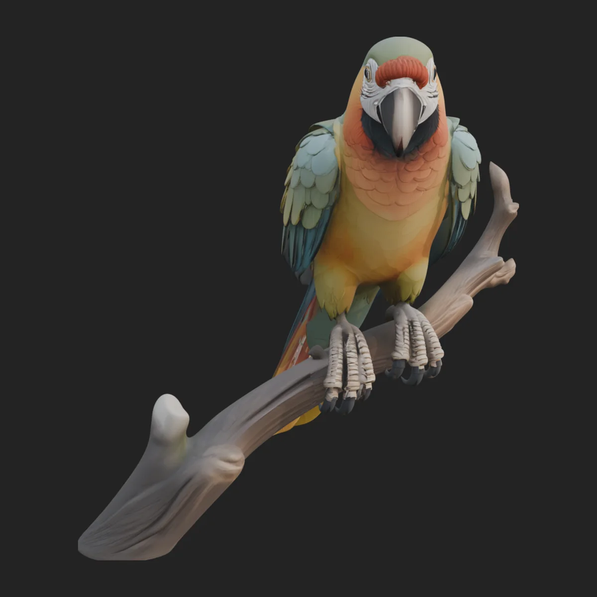 Macaw Parrot Statue Design 4