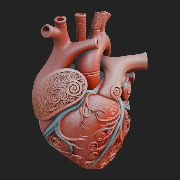 Ornate Anatomical Heart Statue Design 2