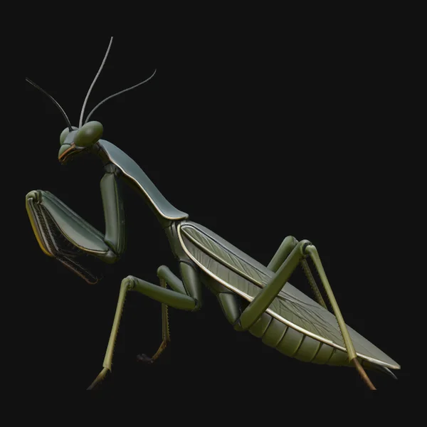 Praying Mantis Statue Design 2