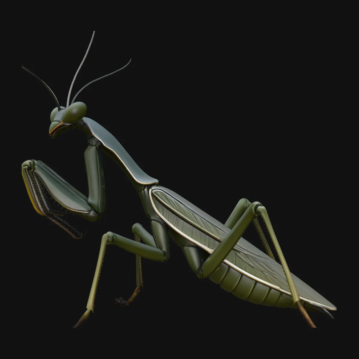 Praying Mantis Statue Design 2