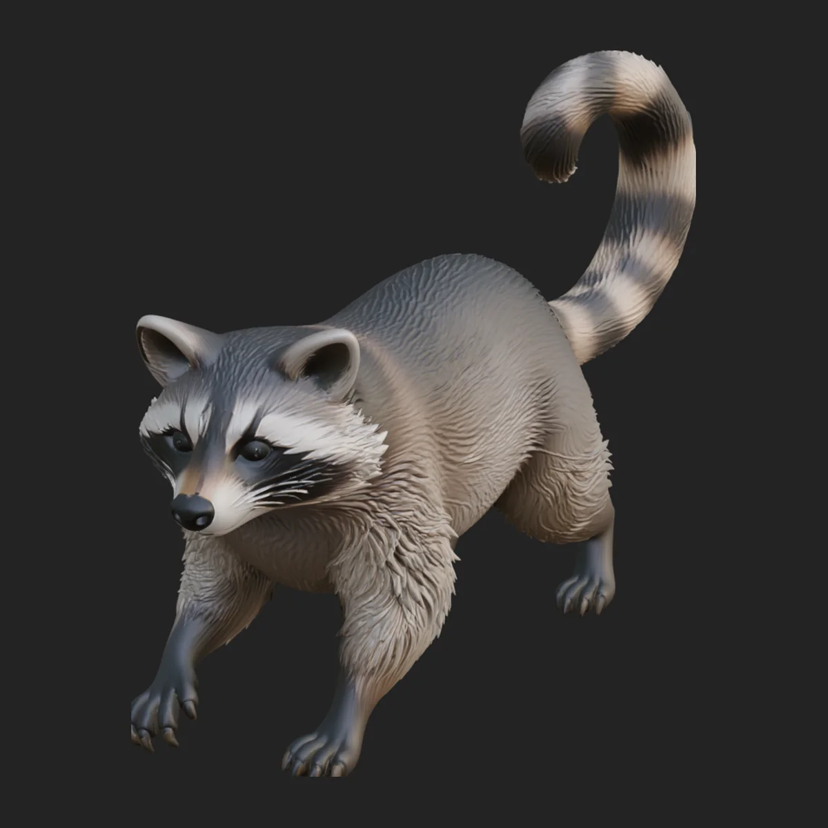 Raccoon Statue Design 1