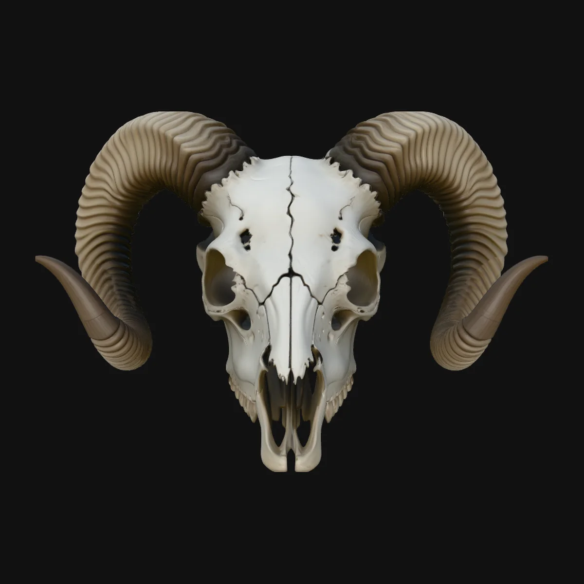 Ram Skull Wall Mount Design 1