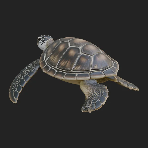 Sea Turtle Statue Design 5