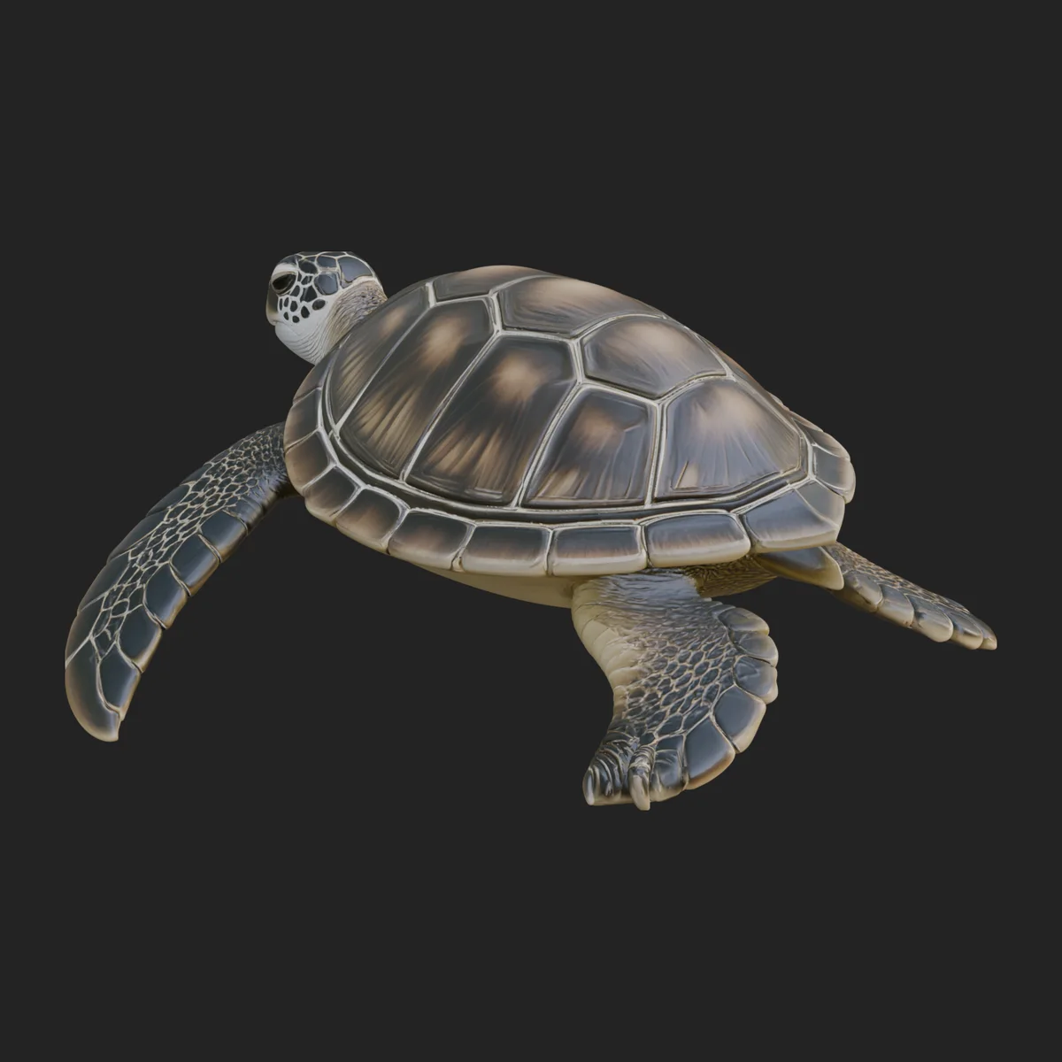 Sea Turtle Statue Design 5