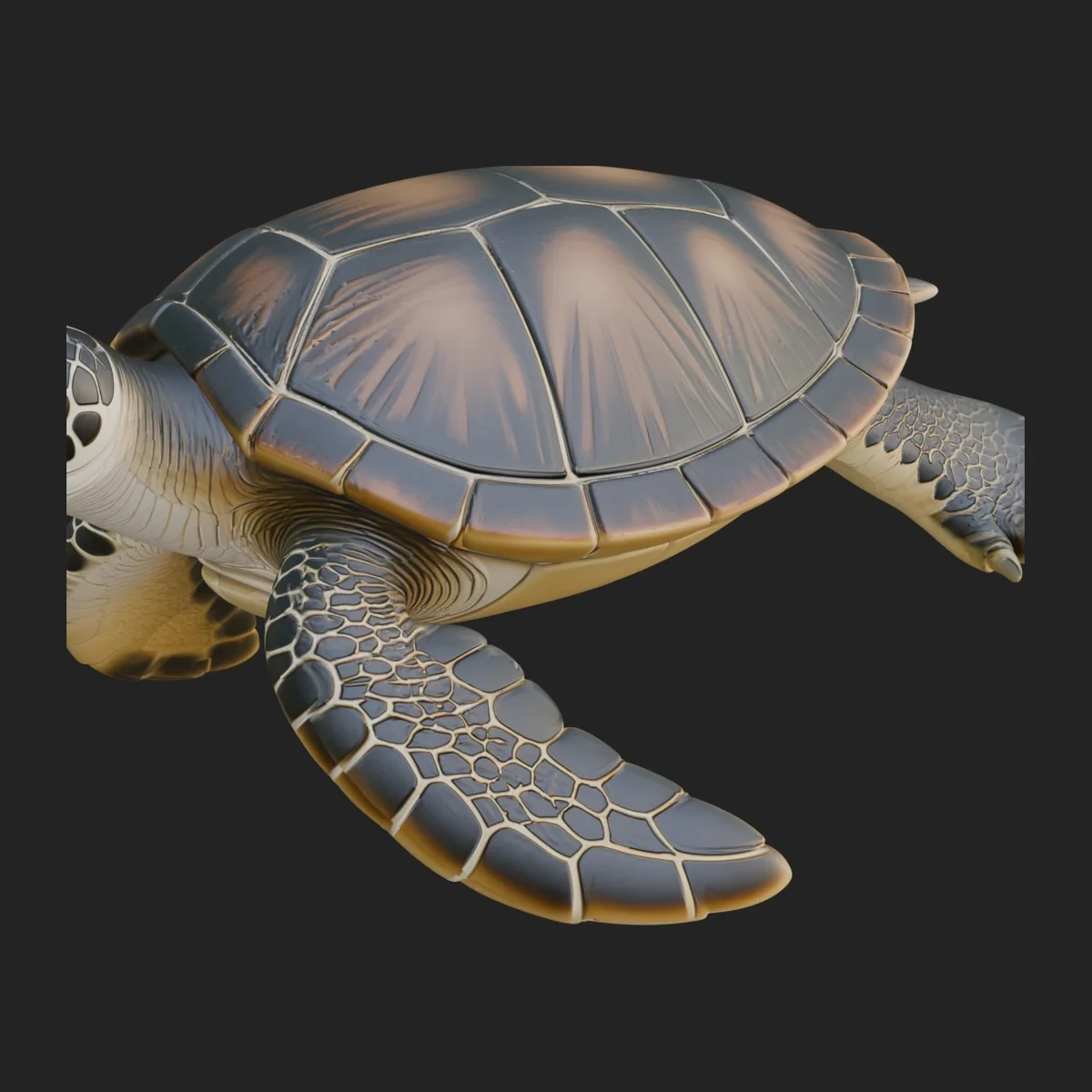 Sea Turtle Statue Design 6