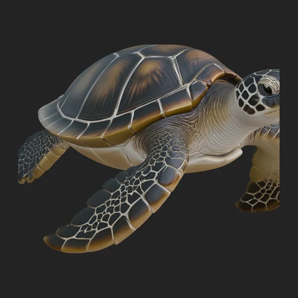 Sea Turtle Statue Design 8