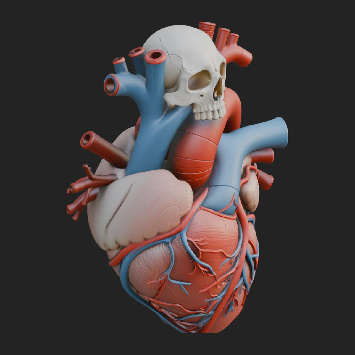 Skull and Heart Anatomy Statue Design 1
