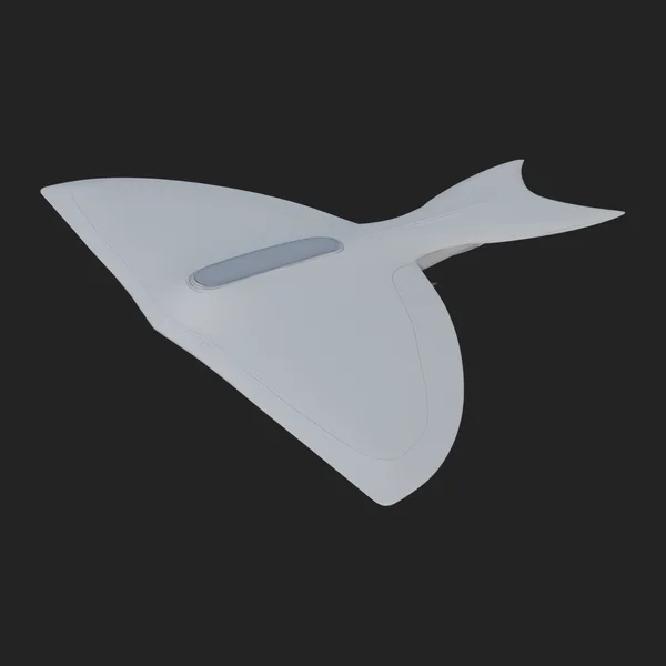 Stealth Bomber Plane Model Design 16