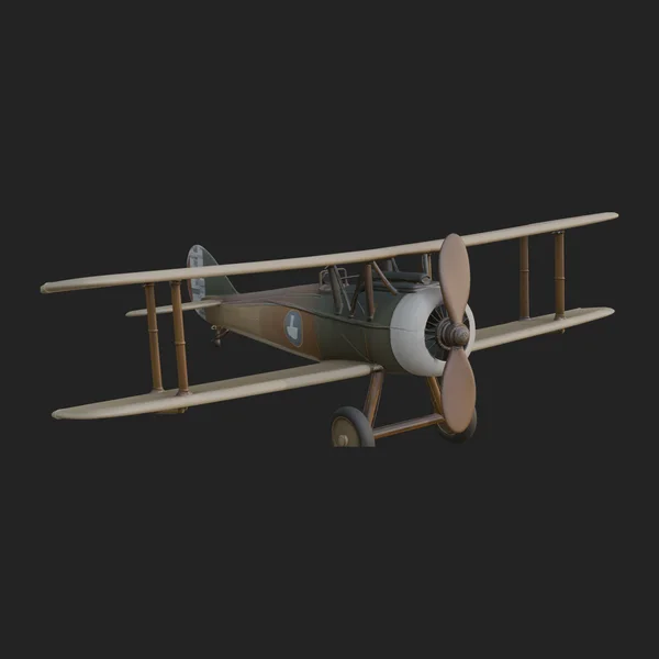 Vintage Biplane Model Design 11