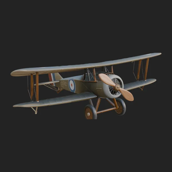 Vintage Biplane Model Design 16