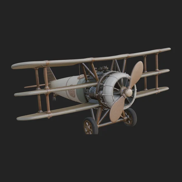 Vintage Biplane Model Design 19