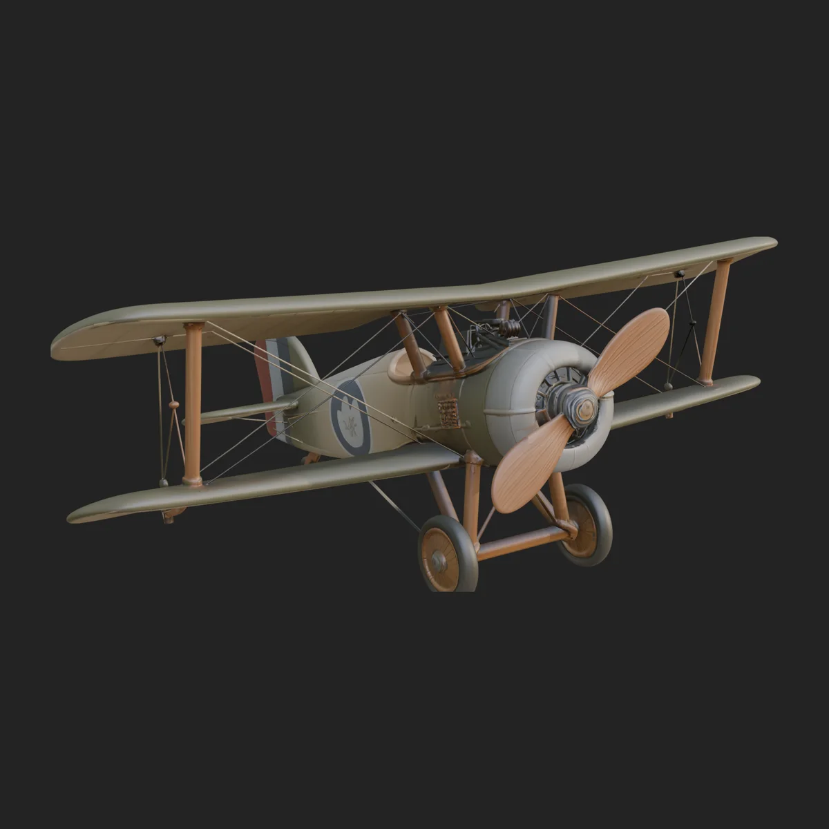 Vintage Biplane Model Design 20