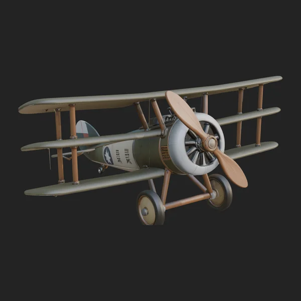 Vintage Biplane Model Design 21