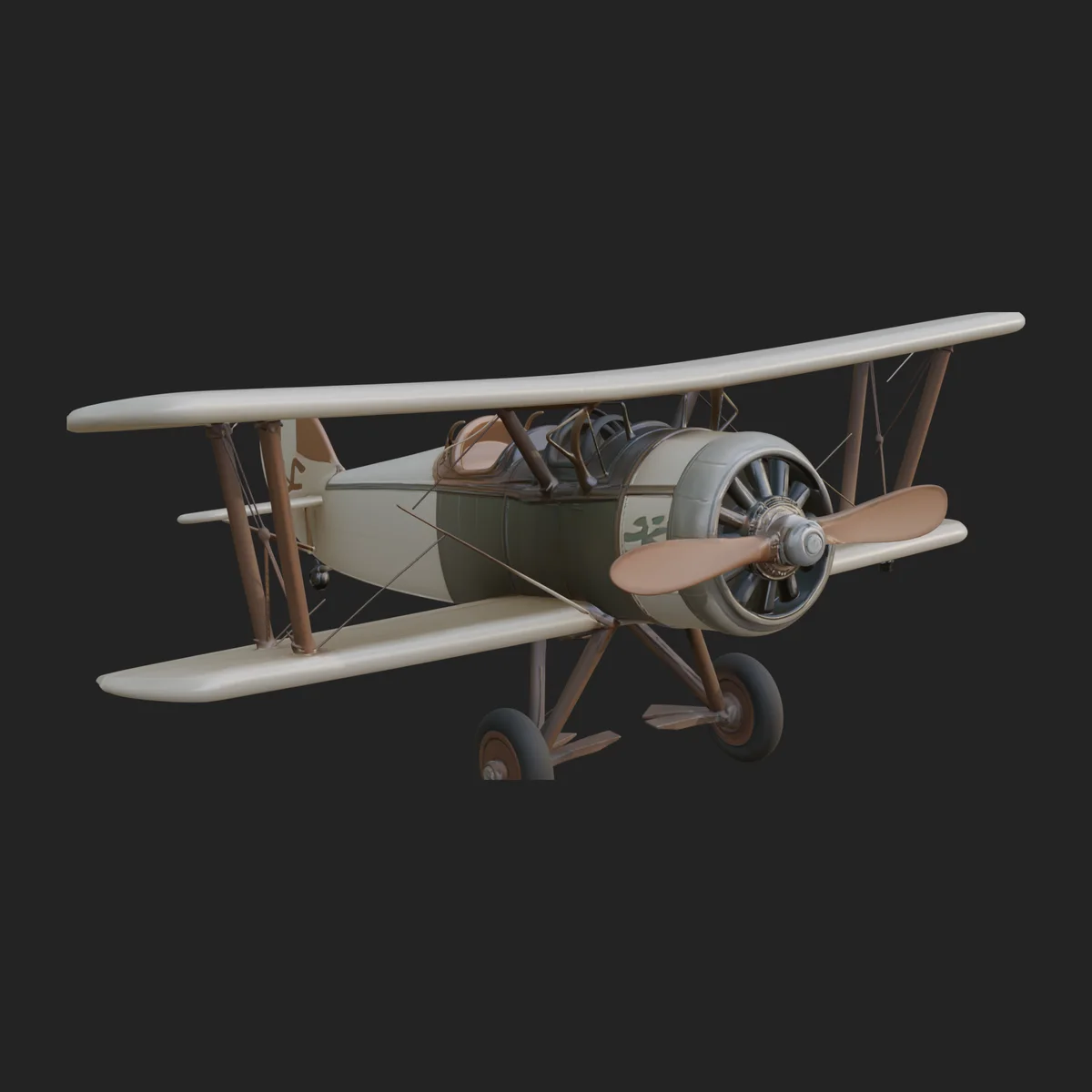Vintage Biplane Model Design 23