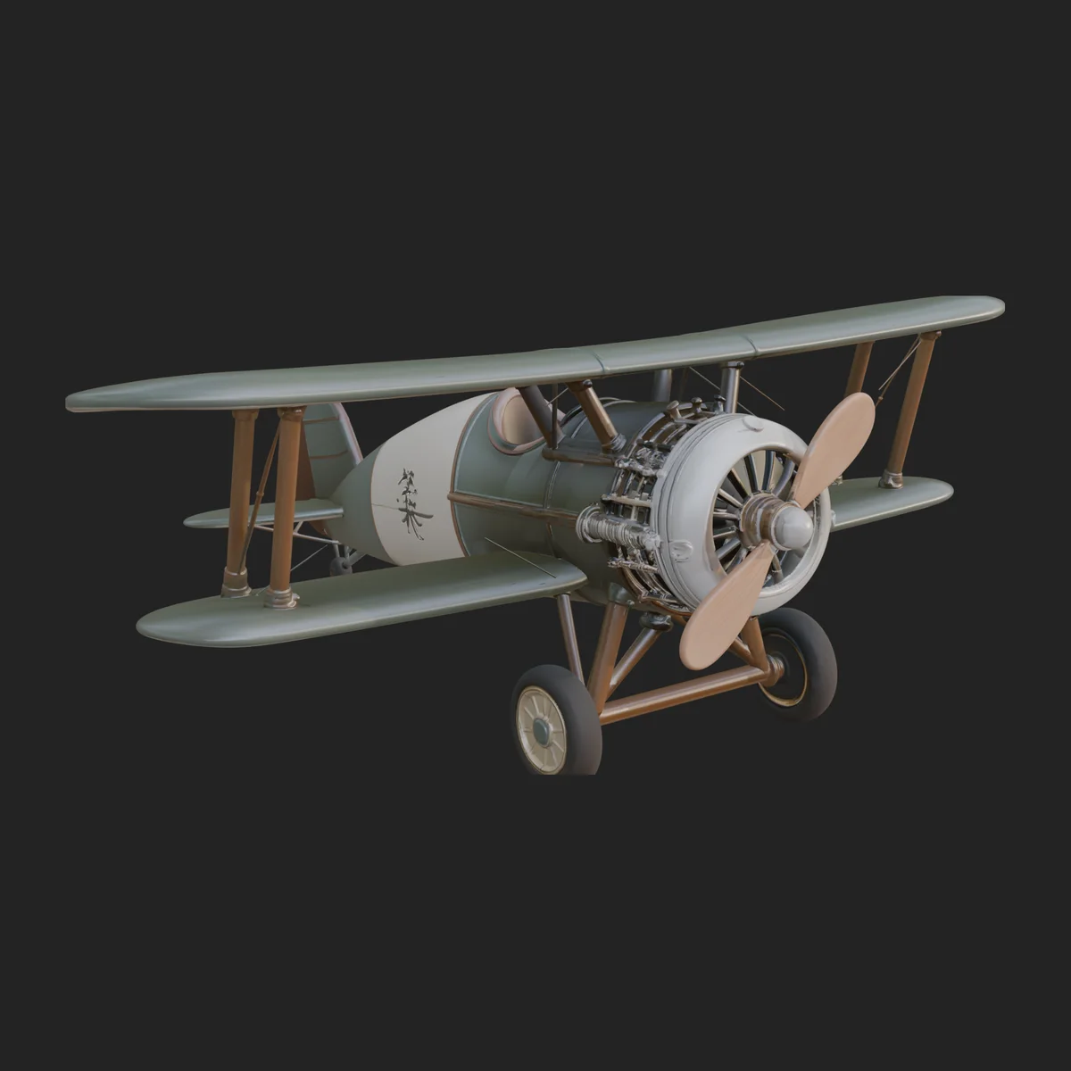 Vintage Biplane Model Design 24